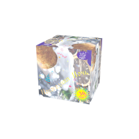 Новогодняя ночь Салют купить в Рыбинске | rybinsk.salutsklad.ru