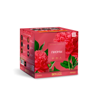 Пионы Салют купить в Рыбинске | rybinsk.salutsklad.ru