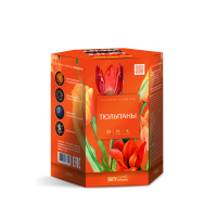 Тюльпаны Салют купить в Рыбинске | rybinsk.salutsklad.ru