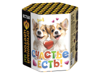 Счастье есть! Салют купить в Рыбинске | rybinsk.salutsklad.ru