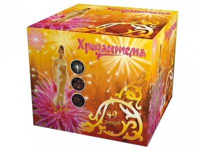 Хризантема Салют купить в Рыбинске | rybinsk.salutsklad.ru