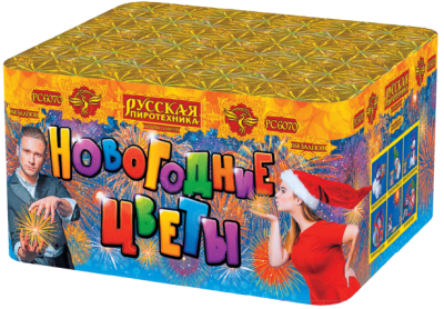 Новогодние цветы Фейерверк купить в Рыбинске | rybinsk.salutsklad.ru