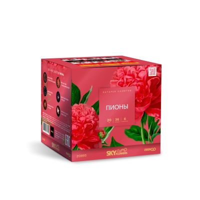 Пионы Салют купить в Рыбинске | rybinsk.salutsklad.ru