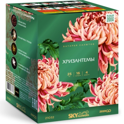 Хризантемы Фейерверк купить в Рыбинске | rybinsk.salutsklad.ru