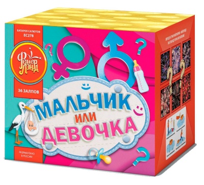 Мальчик или девочка М Фейерверк купить в Рыбинске | rybinsk.salutsklad.ru